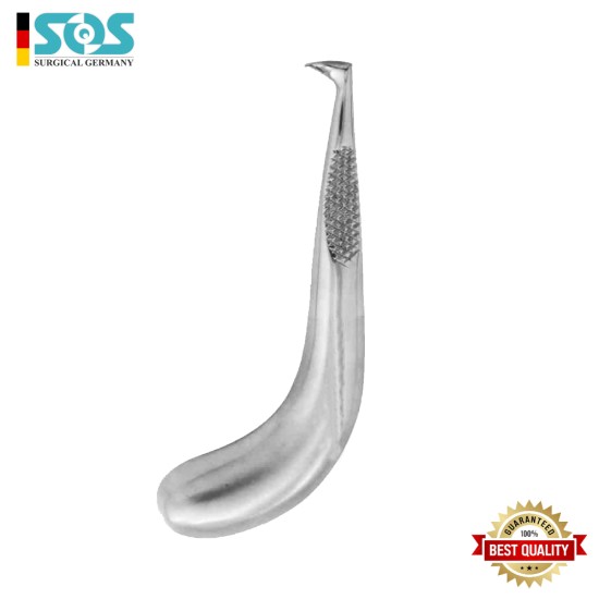 Wurzelheber, Rechte Seite