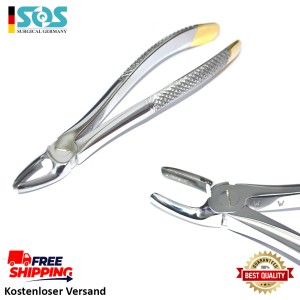 Diamantierte Zahnzange, Upper Primolars, Fig. 7