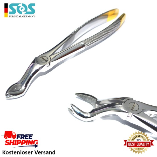Diamond Dusted Dental Forceps, Upper Wisdoms Right Gripping in Teeth