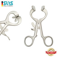 Molt, Größe = 11 cm